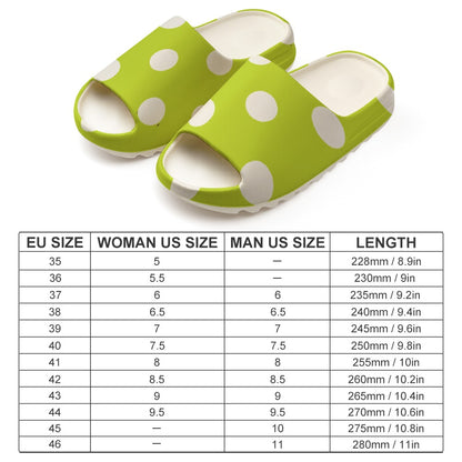 Yeezy EVA slippers