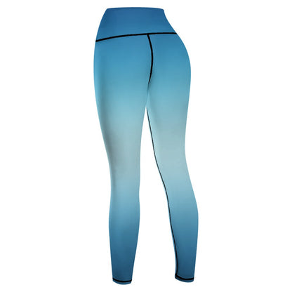 Blue Sports Loggings